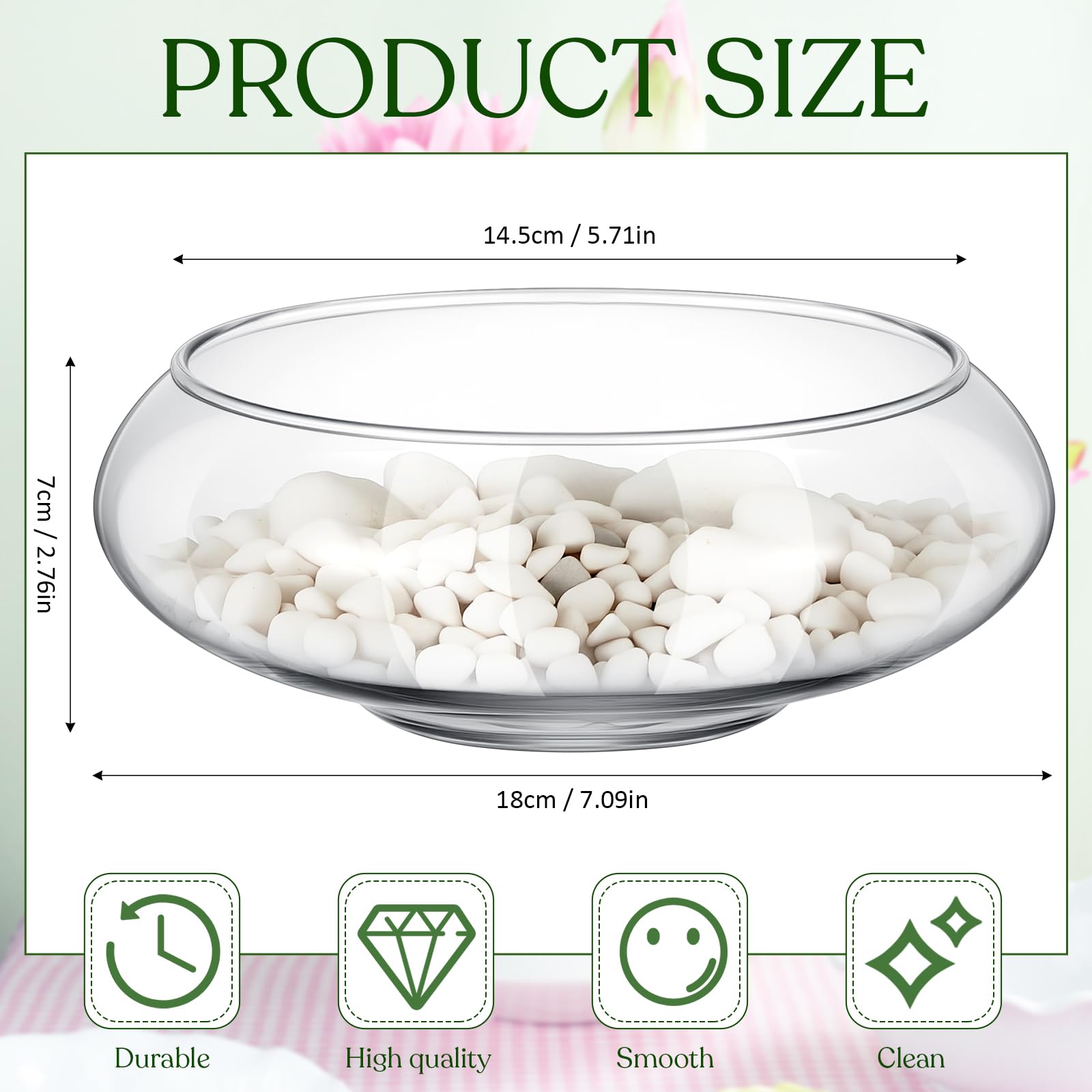Baderke clear glass vase ideal for hydroponic setups and water lilies.