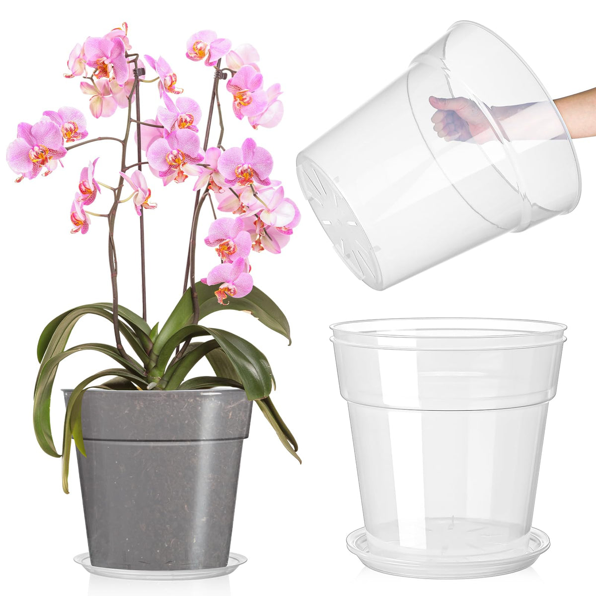 Baderke clear nursery pot with 11.65-inch top for easy root health monitoring.