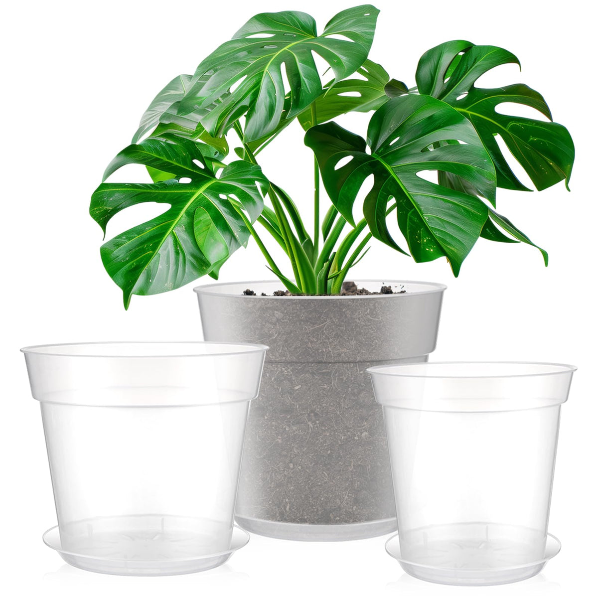 Baderke clear nursery pot 8 inch shows root visibility for easier care