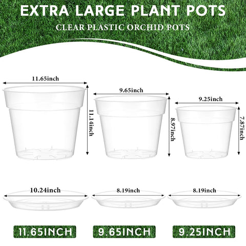 Baderke clear nursery pot 9.65-inch with tray for visible root growth.