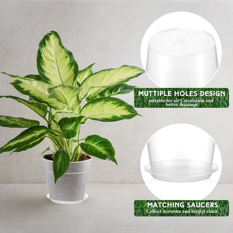 Baderke clear nursery pot 9-65 inch keeps roots visible for easy care