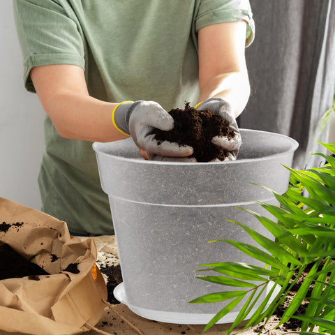 Baderke clear nursery pot 11.65-inch inside view with tray for large plant setups.
