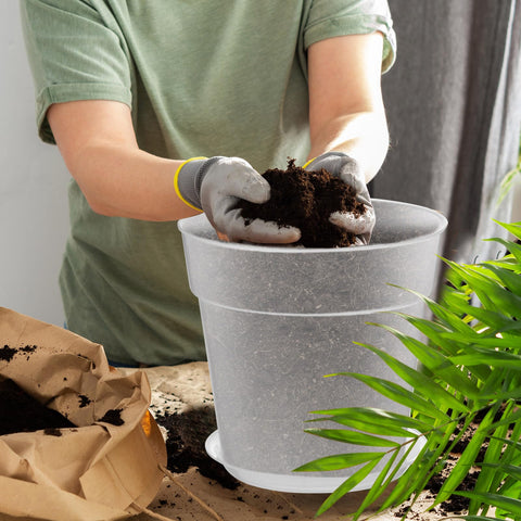 Baderke clear nursery pot vented bottom promotes drainage and airflow