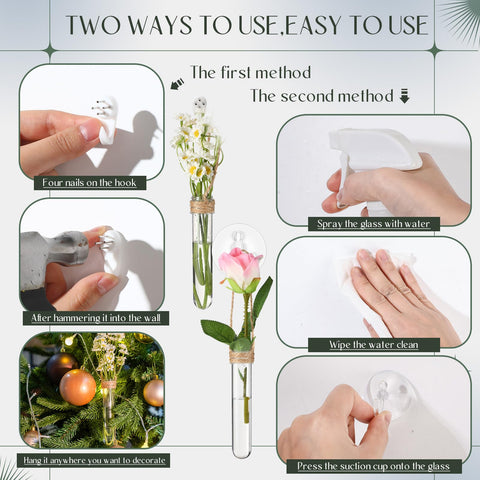 Baderke clear plastic propagation tubes show rooting progress with a sleek window display.