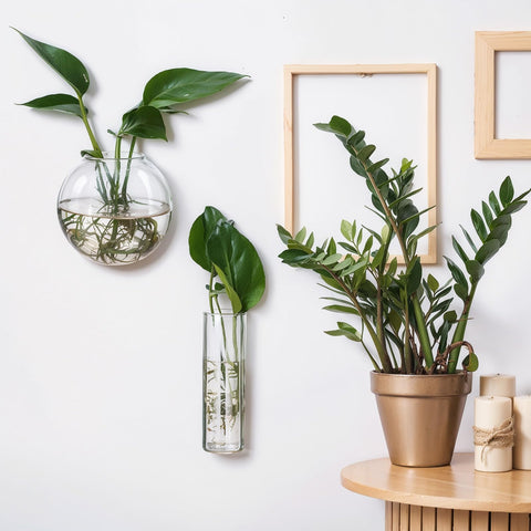 Baderke packaging shows complete 6-piece set for a customizable display