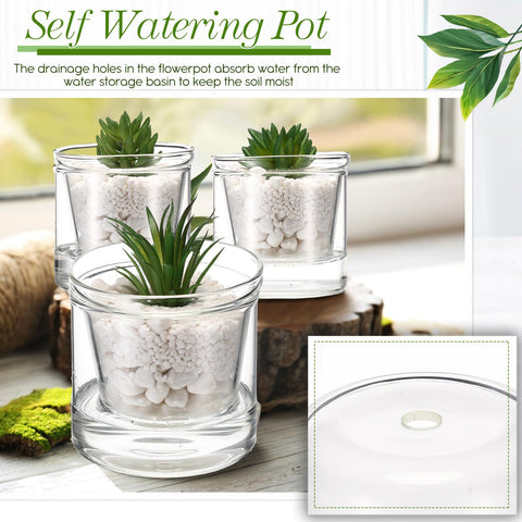 Baderke glass planter with drainage holes helps prevent overwatering and keep soil moist.