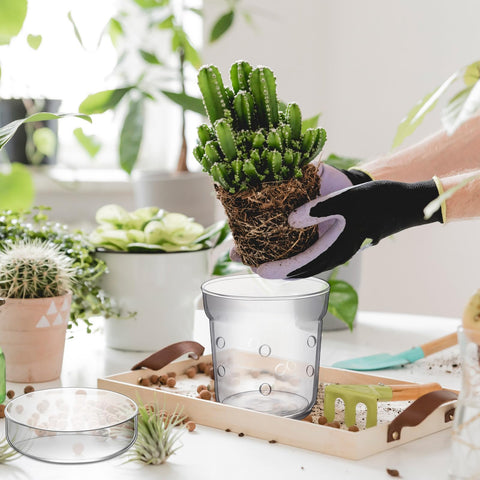 Baderke easy-repot glass planter simplifies transfers with a wide opening.