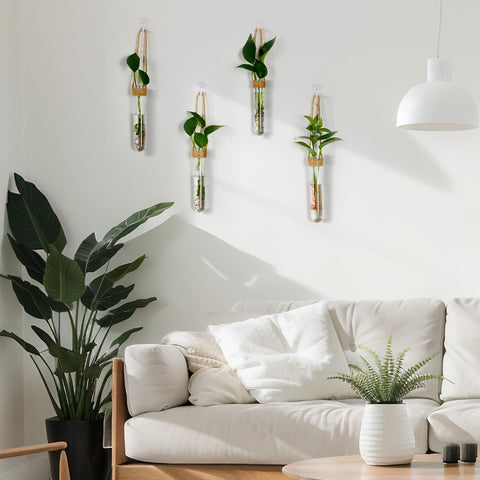 Baderke elegant tube-vase design adds decor while supporting plant cuttings.