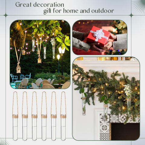 Baderke gift-ready propagation kit suitable for plant lovers and beginners alike.