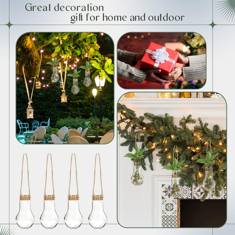 Baderke propagation stations presented as a thoughtful plant-loving gift