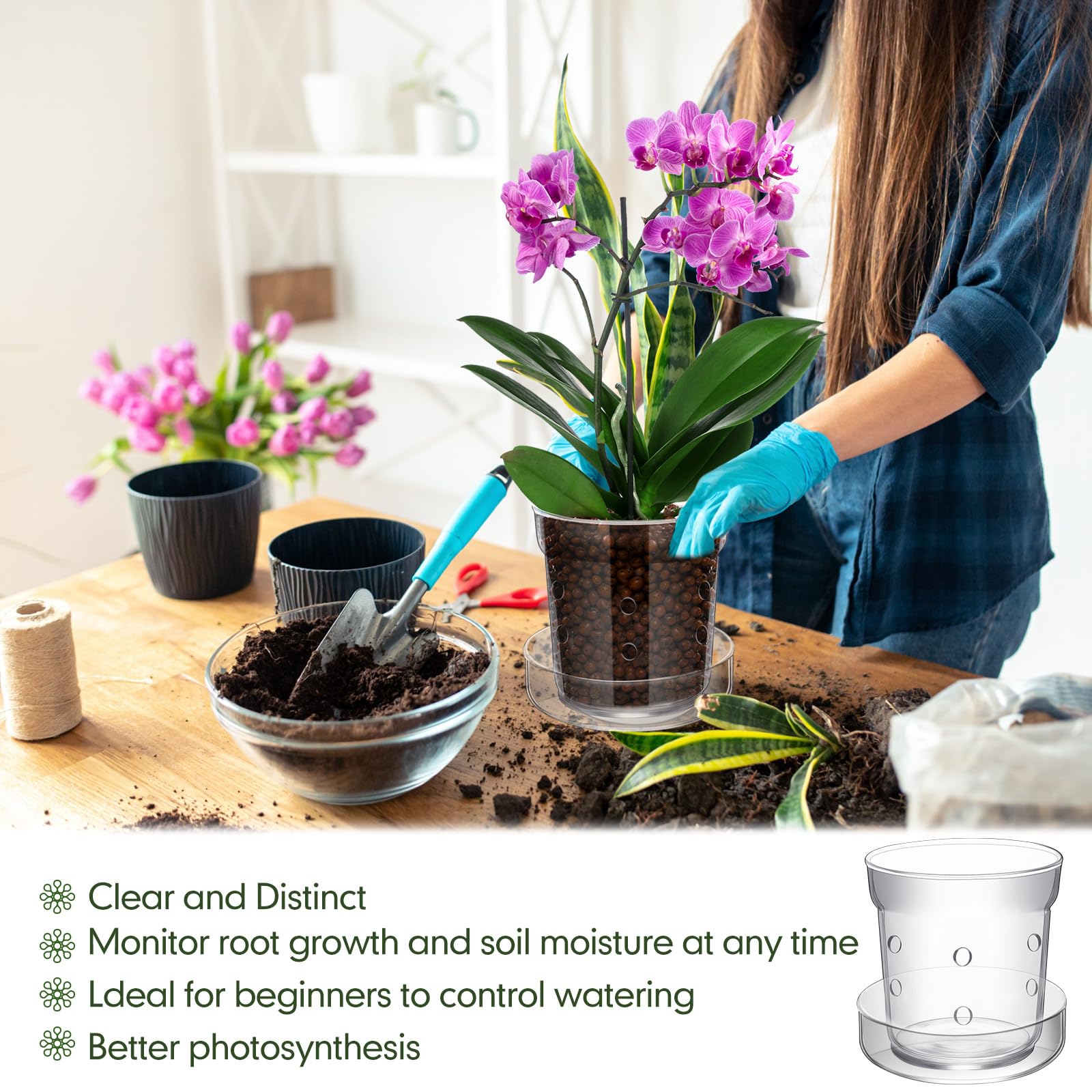 Baderke glass pot tray catches water and keeps surfaces clean.