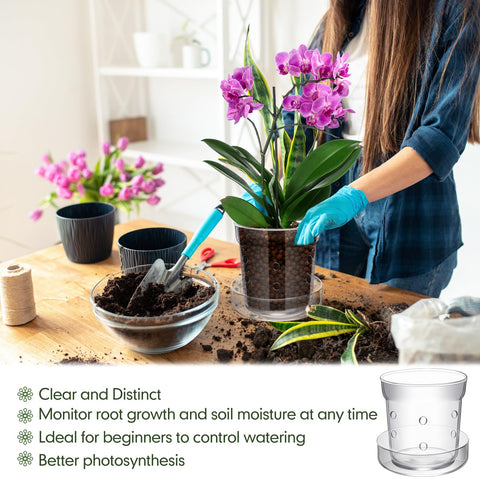 Baderke glass pot tray catches water and keeps surfaces clean.