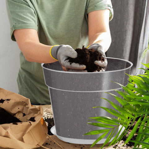 Outdoor-ready clear plant pot in garden setting for versatile use.