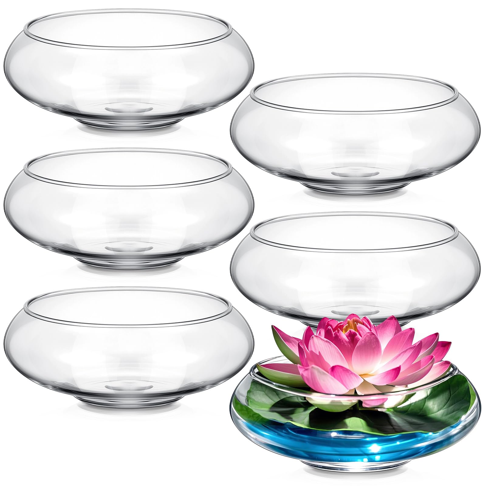 Baderke lotus bowl in crystal-clear glass for a modern windowsill display.