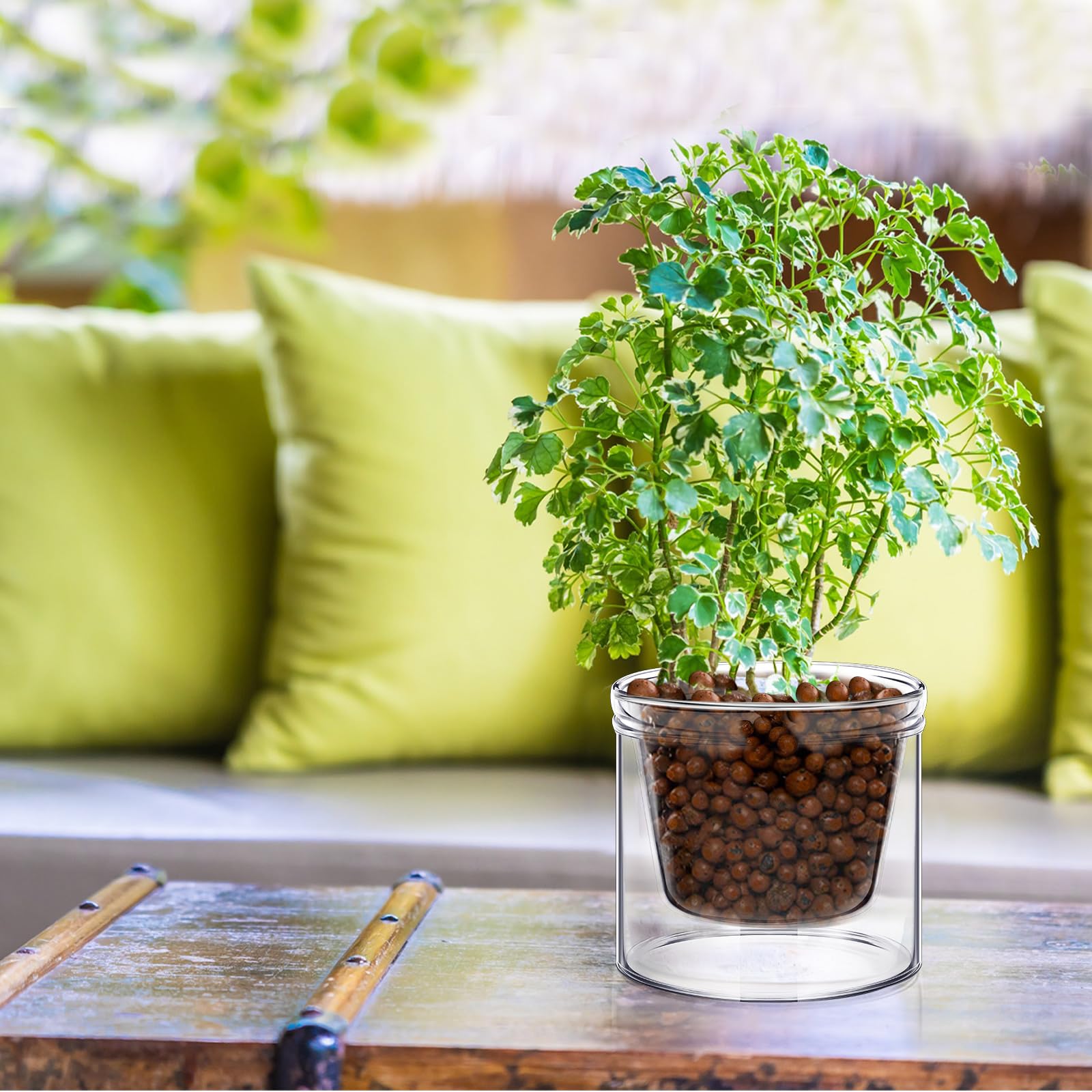 Baderke 2-pack glass planters add modern decor to living spaces.