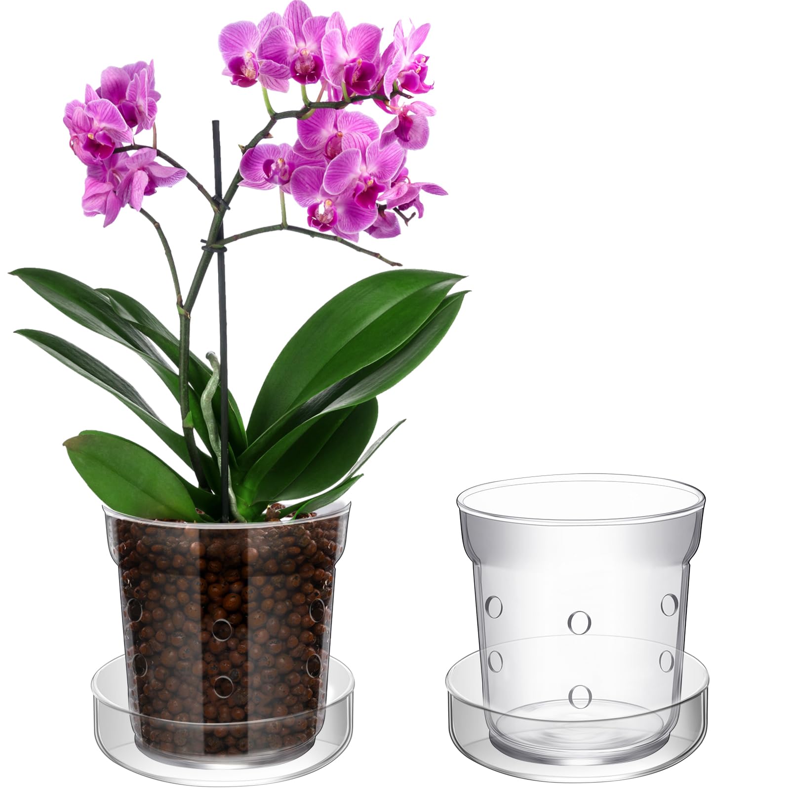 Baderke orchid pot with transparent glass and drainage holes for easy root monitoring.