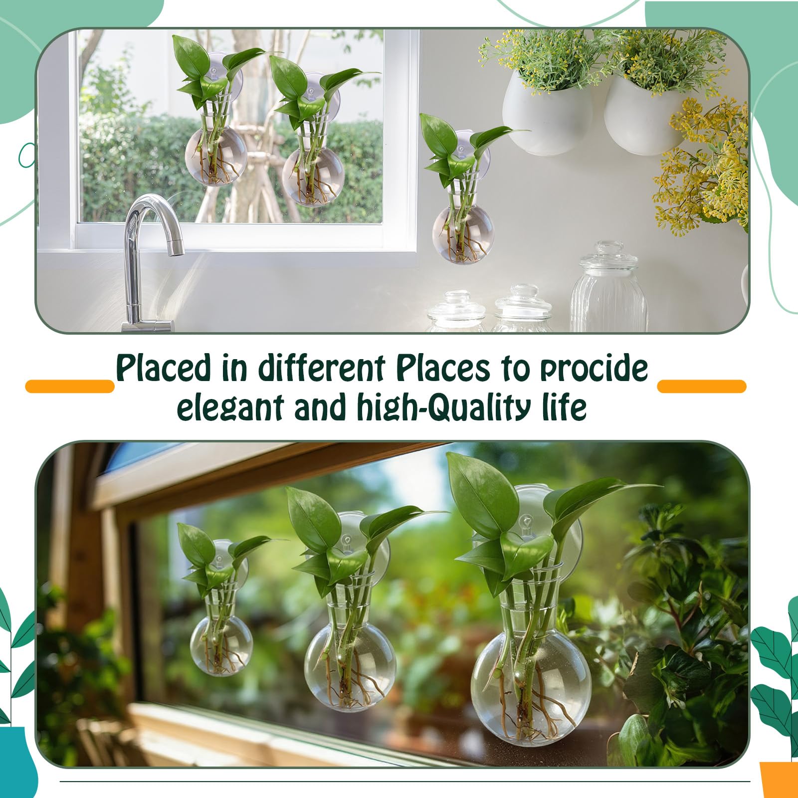 Packaged Baderke propagation stations with hooks and accessories for versatility