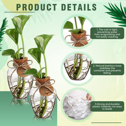 Baderke perforated wooden plug compatible with most plant stems