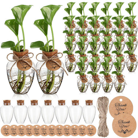 Baderke plant propagation station with clear 10oz jar, easy plant monitoring and display