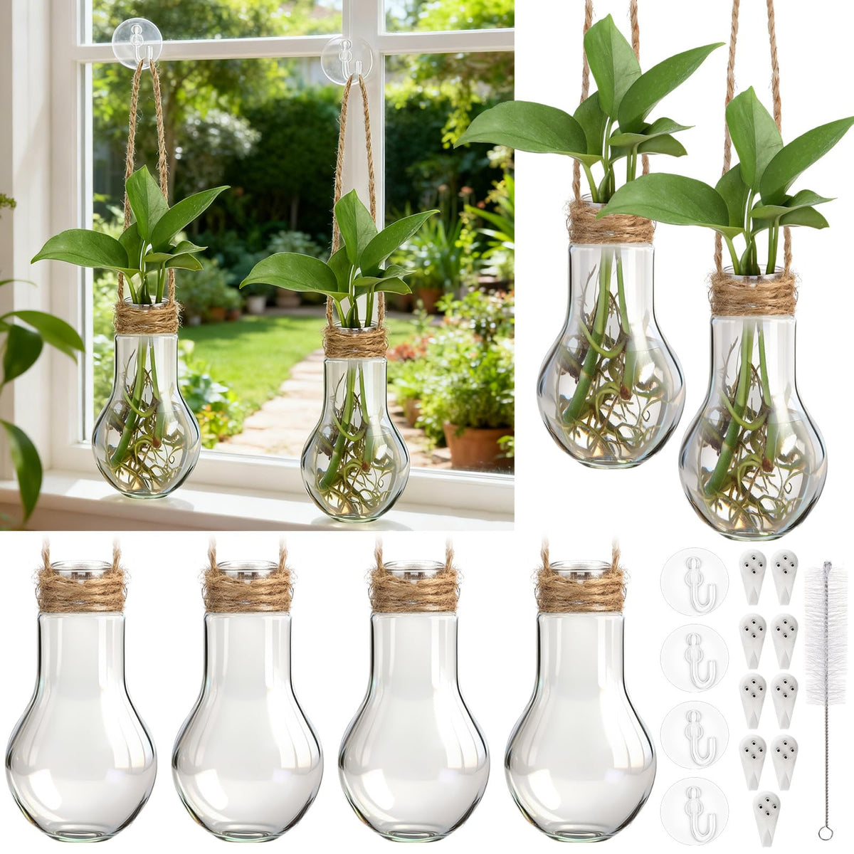 Baderke propagation stations with nine clear tubes for multi-plant propagation in a compact display