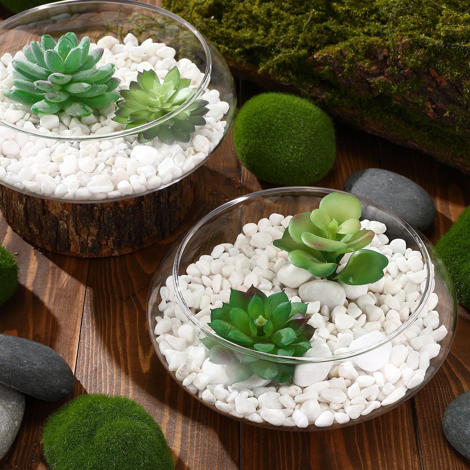 Baderke succulent and herb planter in glass bowl for easy upkeep.