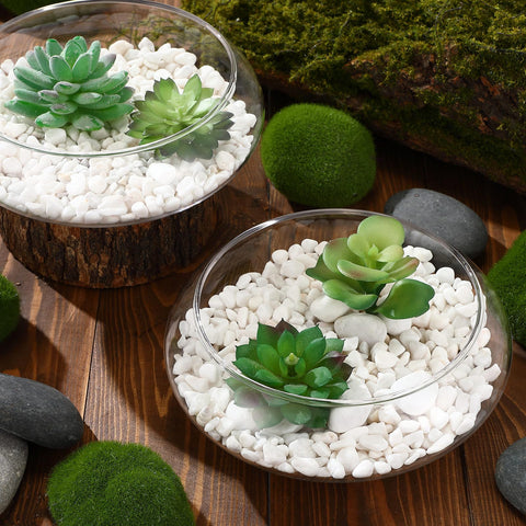 Baderke succulent and herb planter in glass bowl for easy upkeep.
