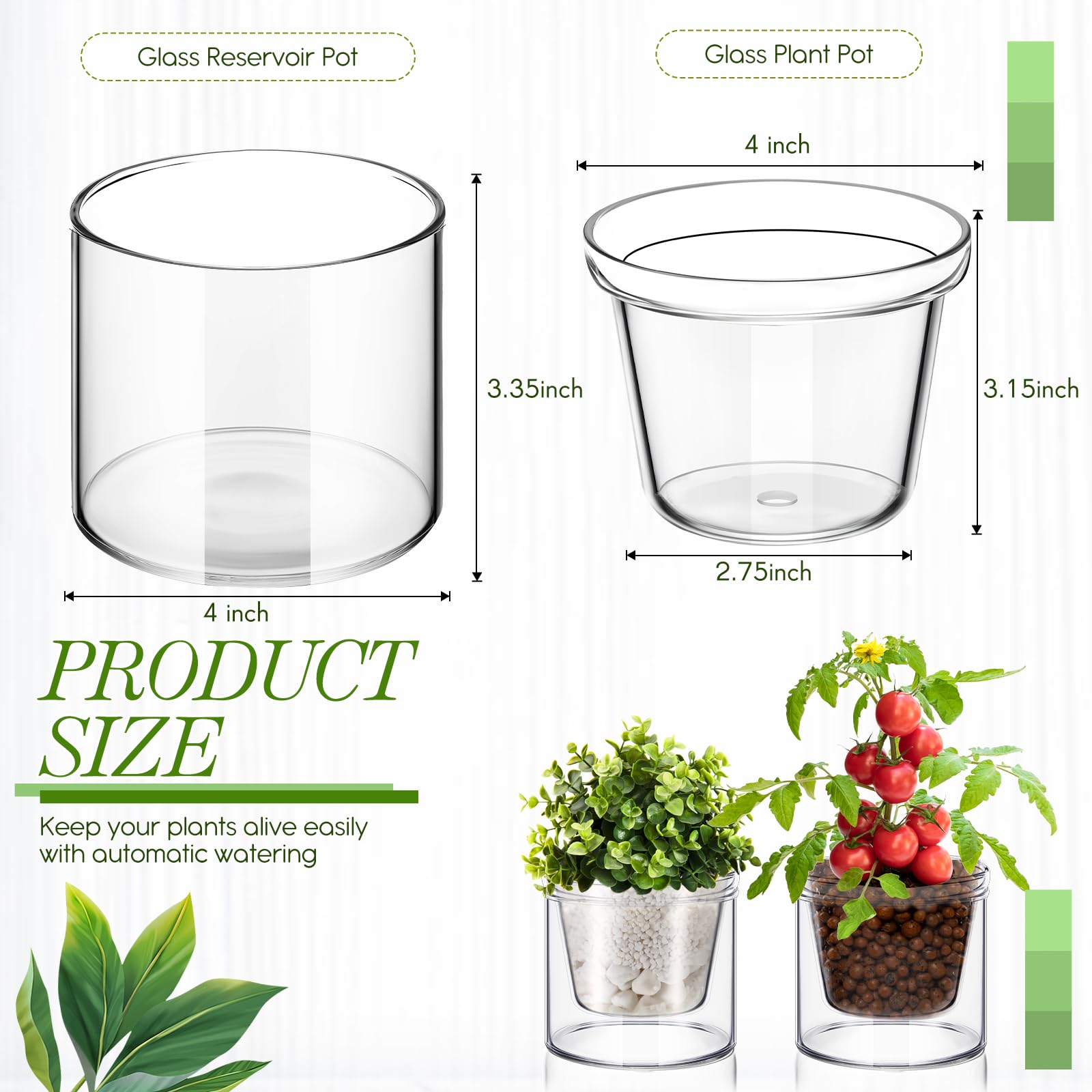 Baderke bottom watering planters show soil moisture at a glance for healthy roots.