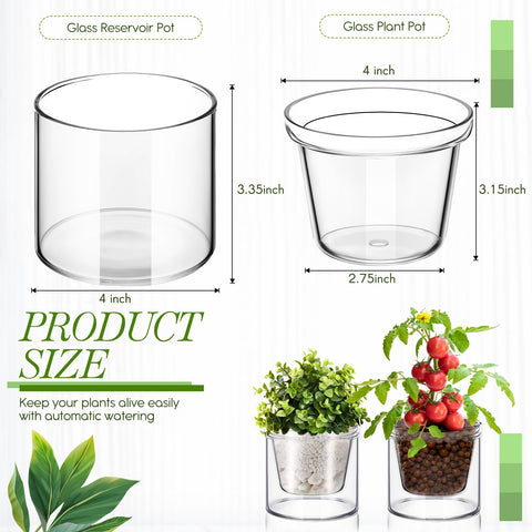Baderke bottom watering planters show soil moisture at a glance for healthy roots.