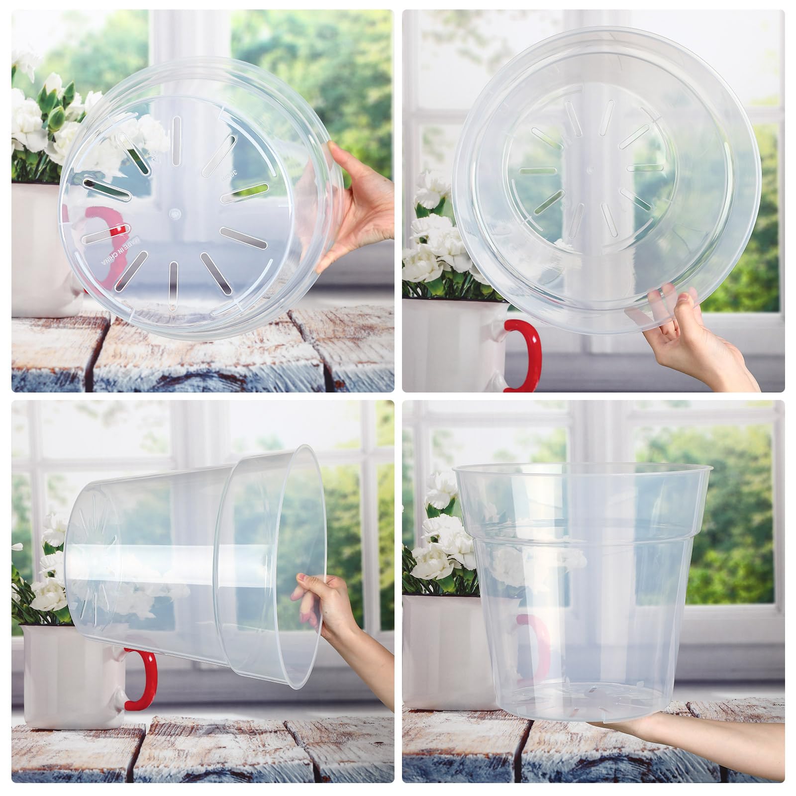 Transparent plastic pot with vented bottom enables airflow and drainage.
