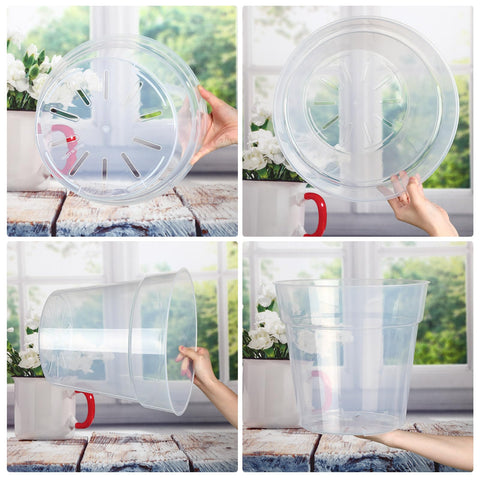 Transparent plastic pot with vented bottom enables airflow and drainage.