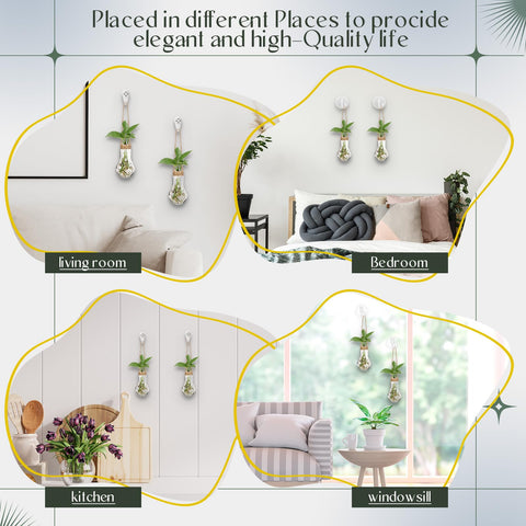 Baderke transparent tubes arranged indoors to showcase roots and growth