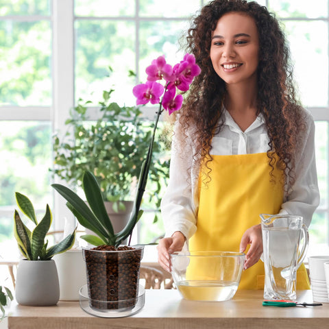Baderke versatile plant pot suitable for orchids, succulents, ferns indoors or outdoors.