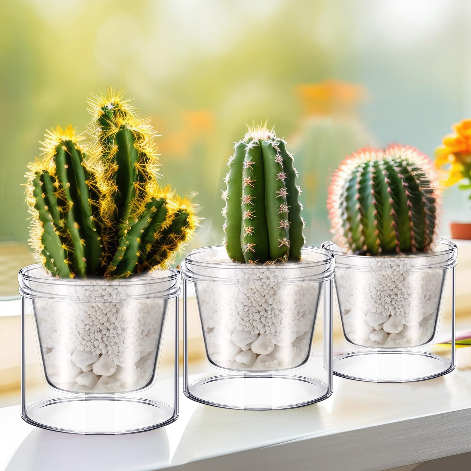 Baderke transparent 4-inch pot lets light reach roots while monitoring growth.