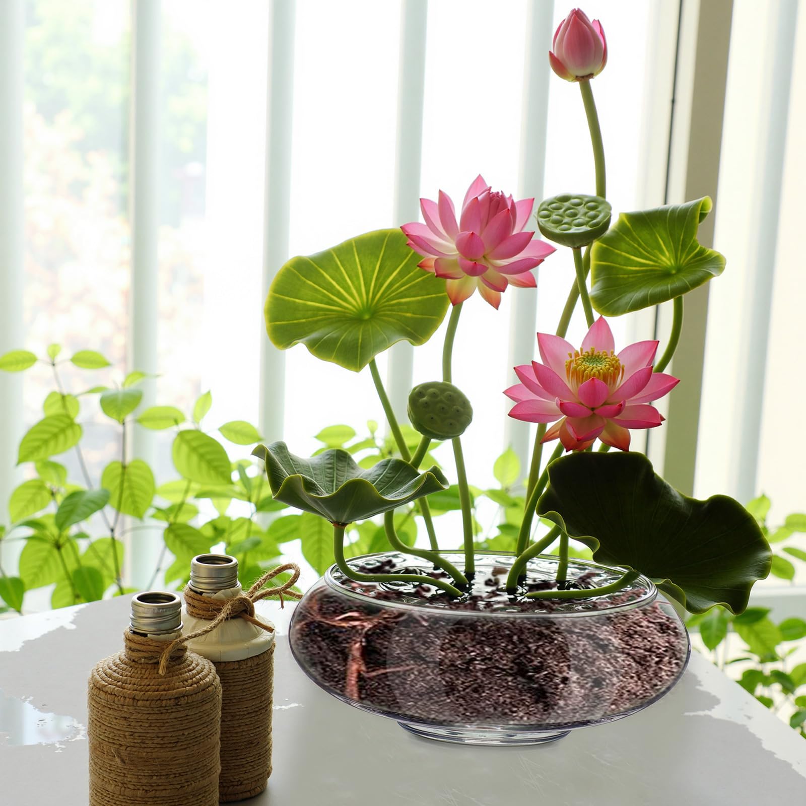 Baderke water lily planter supports small plants with a clean display.