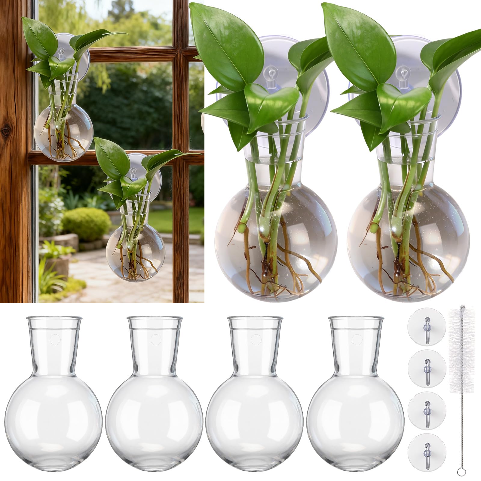 Baderke window propagation stations on display for easy indoor gardening setup