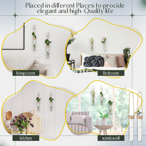 Baderke window suction cups enable versatile mounting on glass and tiles for propagation.
