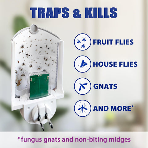 BAIMNOCM Flying Insect Trap dual glow lights attract gnats and fruit flies.