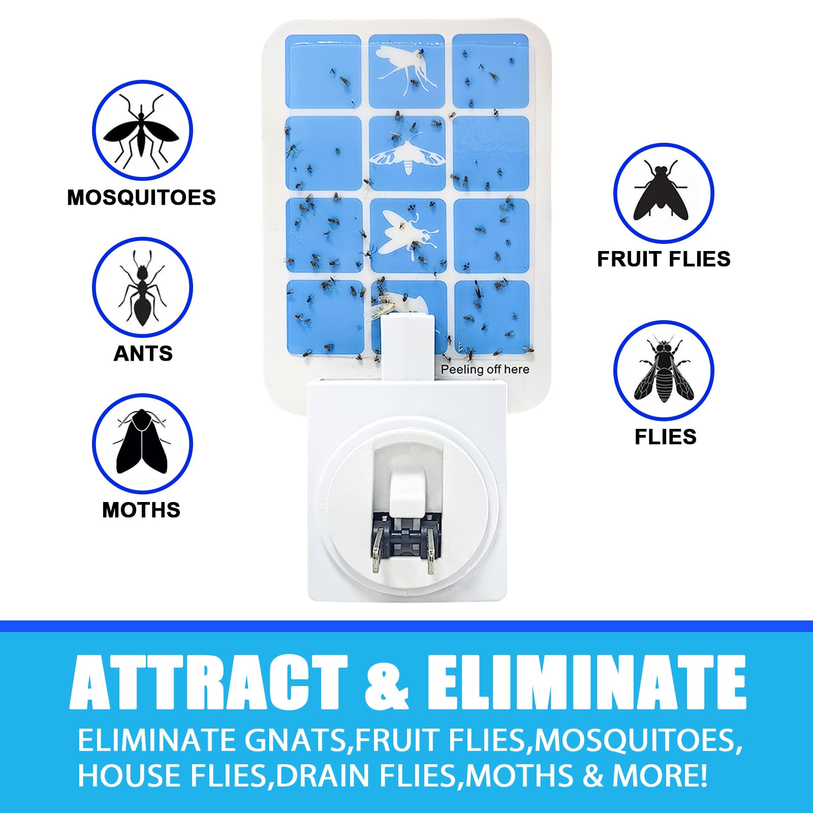 BAIMNOCM indoor fly trap for fruit moths and mosquitoes uses blue light