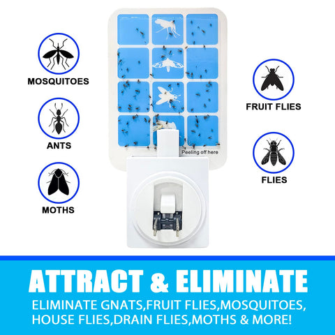 BAIMNOCM indoor fly trap for fruit moths and mosquitoes uses blue light