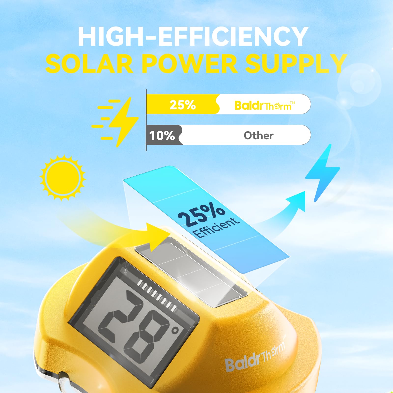 BaldrTherm dual-display thermometer for swimming pools — easy readability from around the pool.