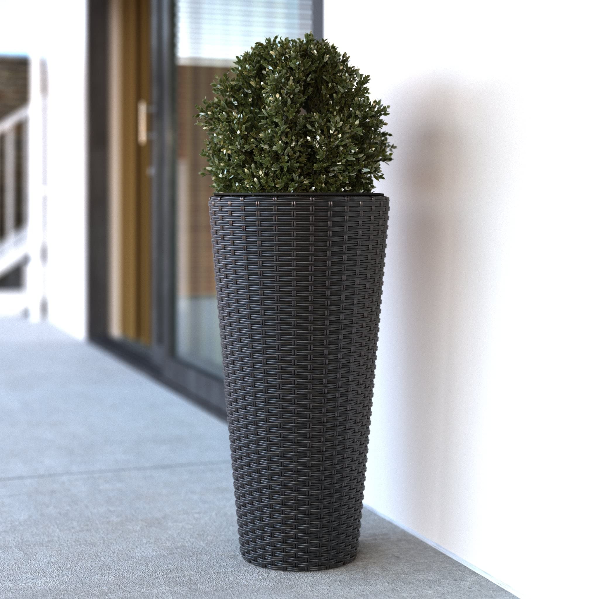 Two-pack setup shown for balanced poolside or entryway greenery