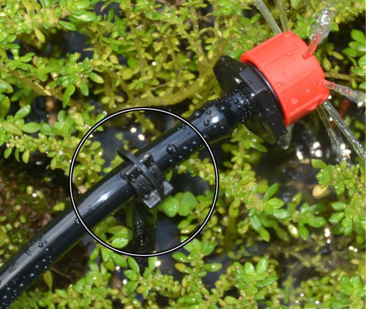 Balter-D 200-pack stake supports large yards with consistent drip lines.