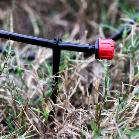 Balter-D stake packaging with storage bag for convenient home irrigation.