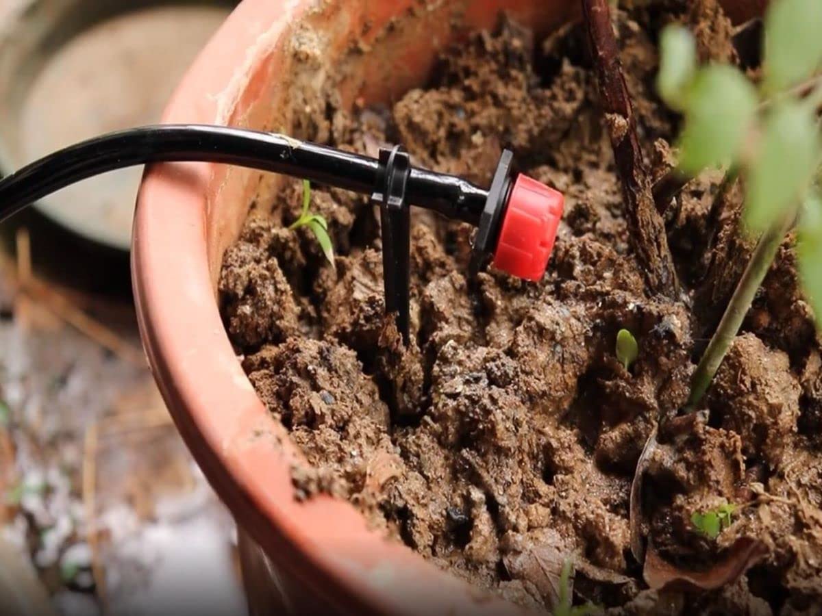 Balter-D irrigation stakes used in herb beds for precise tubing placement.