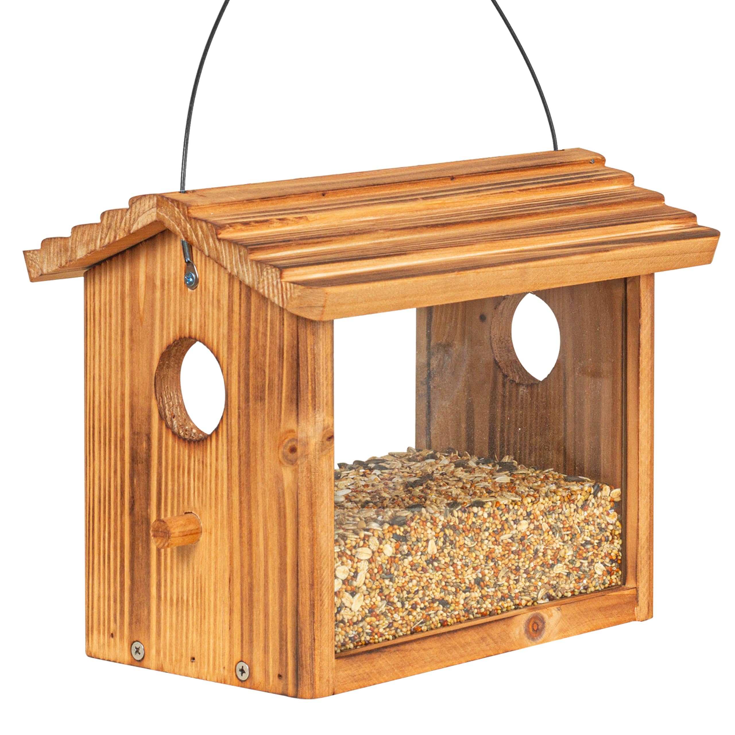 BalterFF bird feeder outdoors, blue cardinal friendly design attracts bright visitors
