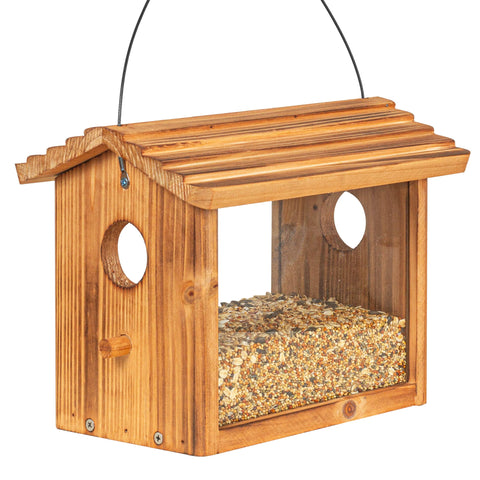 BalterFF bird feeder outdoors, blue cardinal friendly design attracts bright visitors