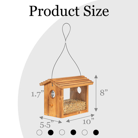 BalterFF bird feeder view from window enables peaceful birdwatching