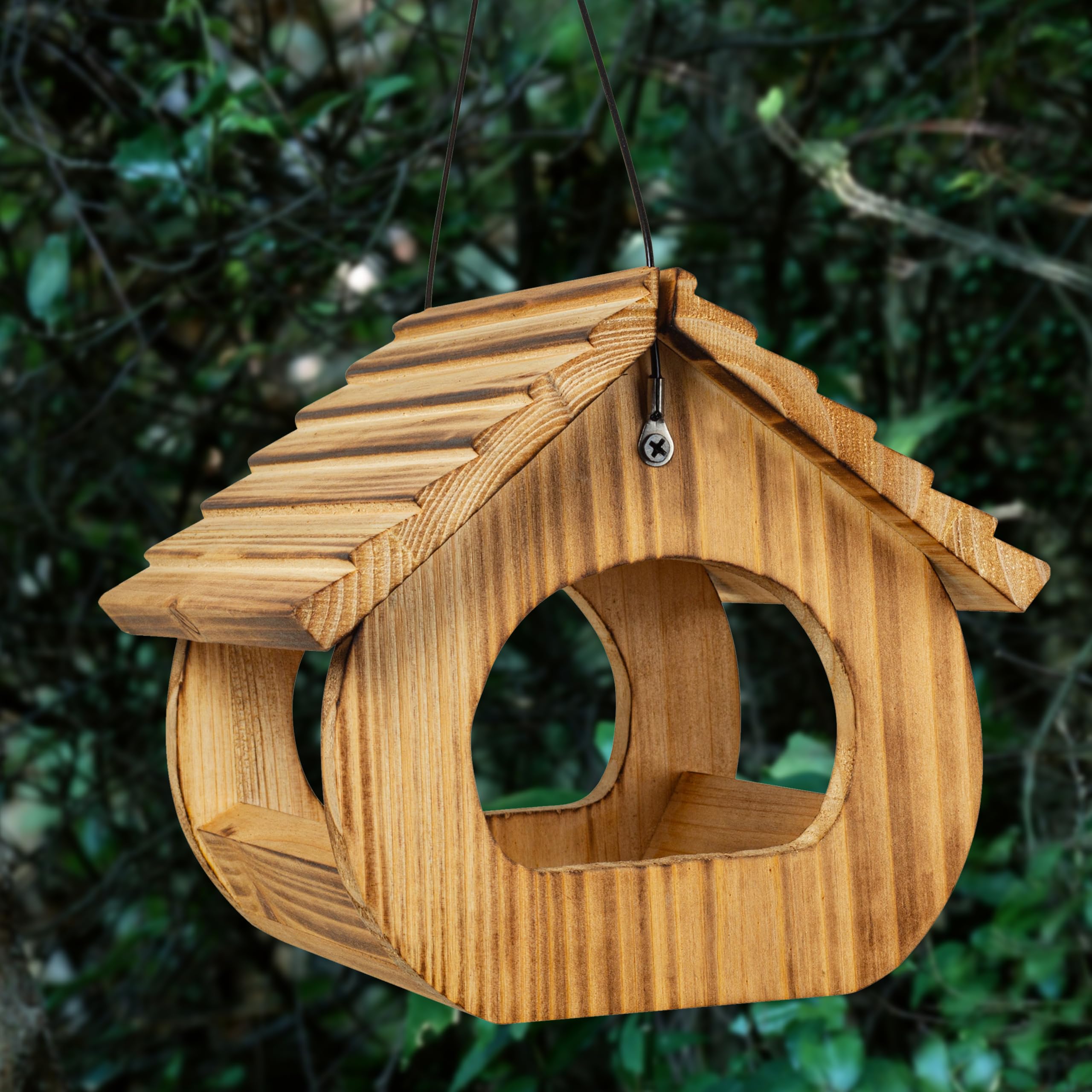 BalterFF windowsill-view feeder for family-friendly wildlife watching.