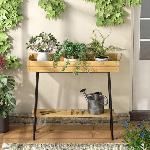 BAMBANG plant display near window elevates sunlight exposure for greens