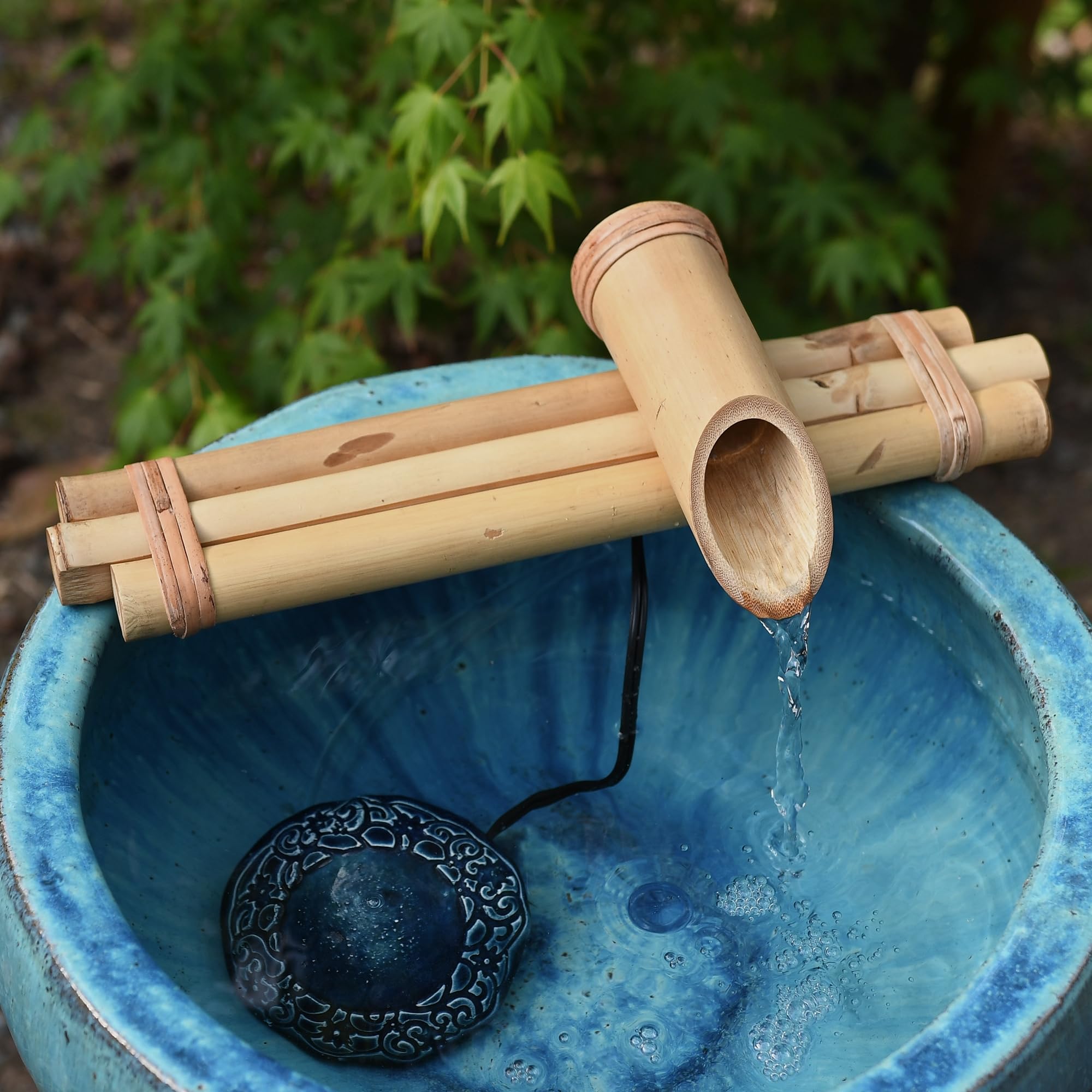 Quiet 50 GPH pump provides gentle, adjustable flow